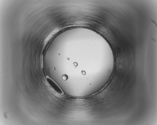 X0000099551180200805301515