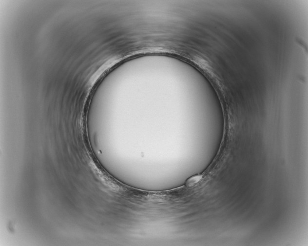 X0000099551181200805301515