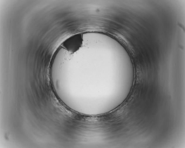 X0000099551182200805301515