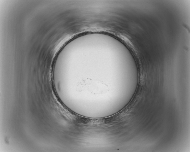 X0000099551183200805301515