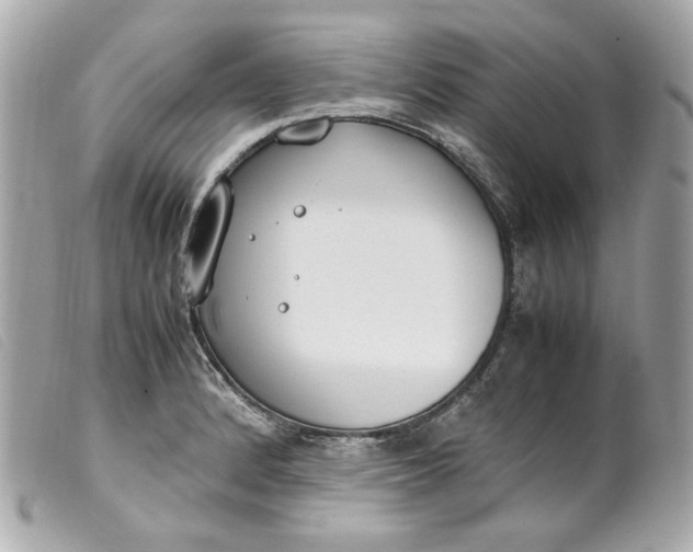 X0000099551184200805301515