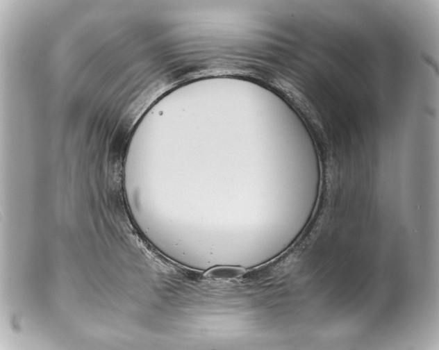 X0000099551185200805301515