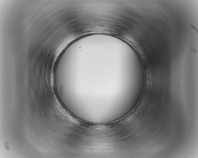 X0000099551188200805301515