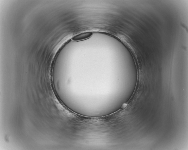 X0000099551189200805301515