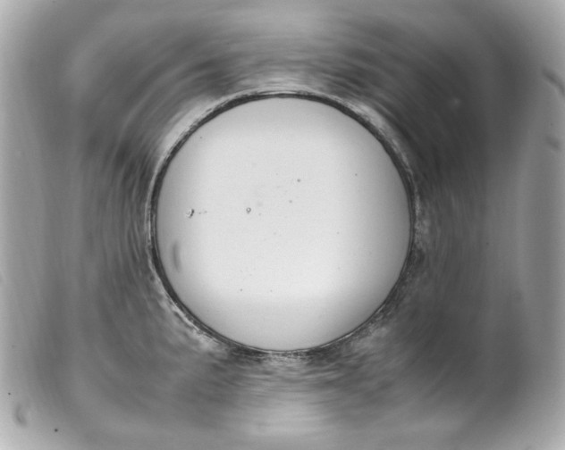 X0000099551191200805301515