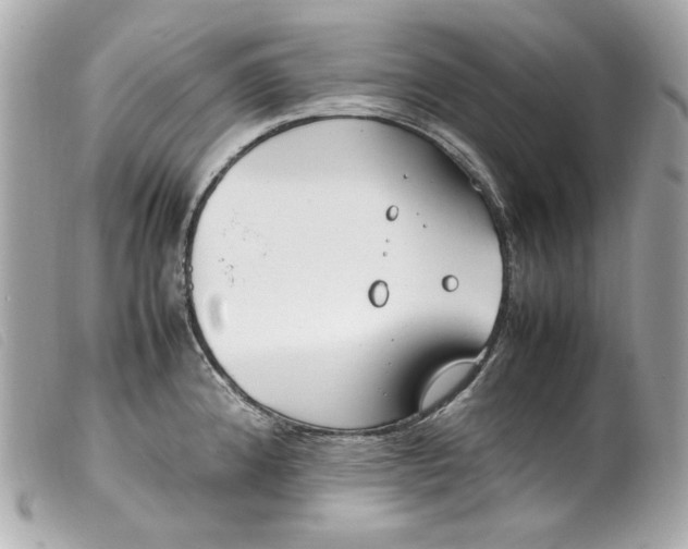 X0000099551192200805301515