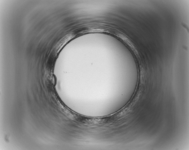 X0000099551193200805301515