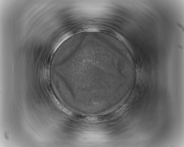 X0000099551194200805301515