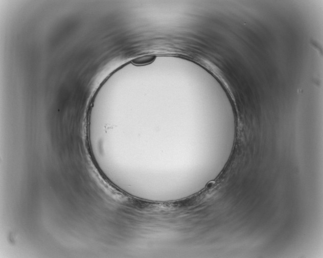 X0000099551195200805301514