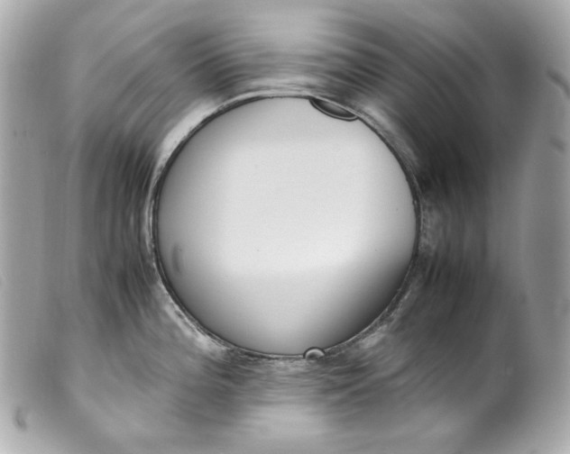 X0000099551196200805301514