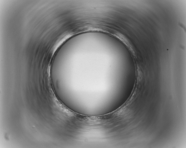 X0000099551198200805301514