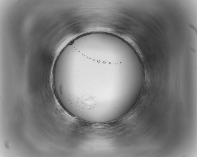 X0000099551199200805301514