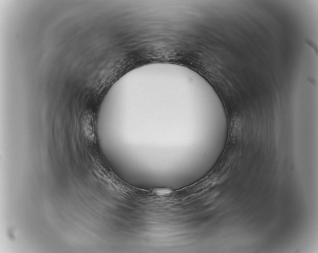 X0000099551202200805301514