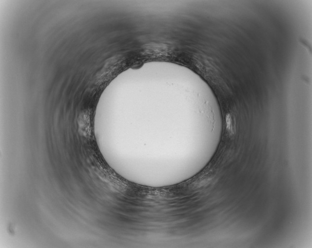 X0000099551203200805301514