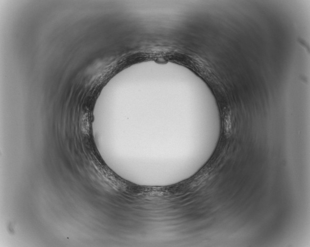 X0000099551204200805301514