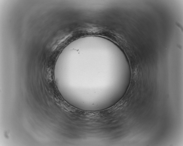 X0000099551205200805301514