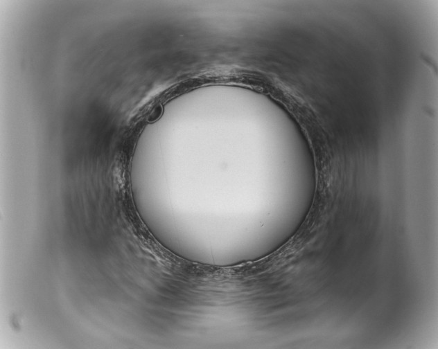 X0000099551206200805301514