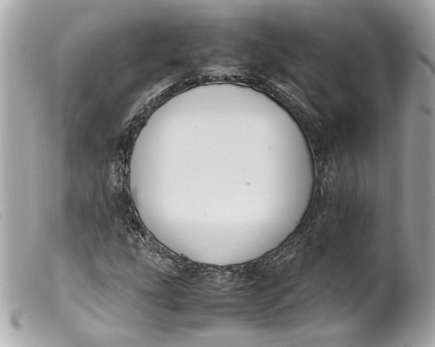 X0000099551207200805301514