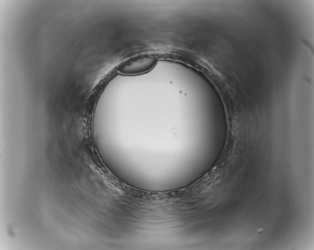 X0000099551208200805301514