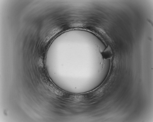 X0000099551209200805301514