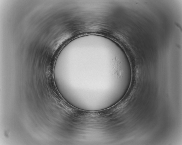 X0000099551210200805301514