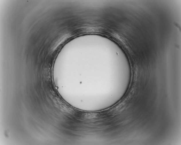 X0000099551211200805301514