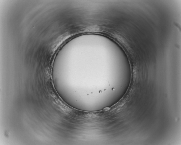 X0000099551212200805301514