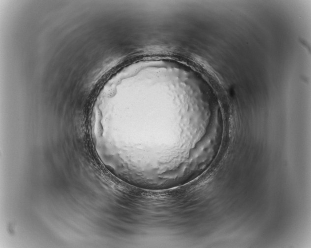 X0000099551213200805301514