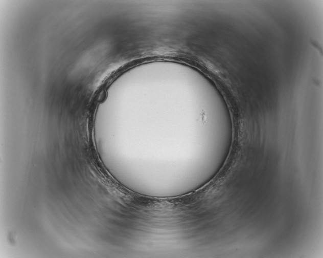 X0000099551214200805301514