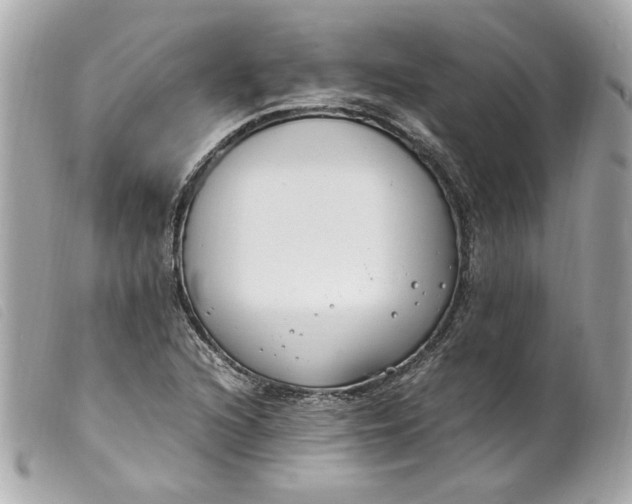 X0000099551216200805301514