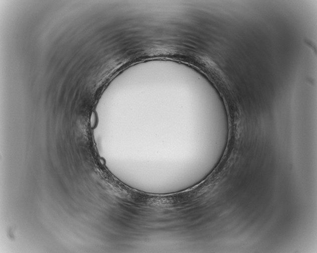 X0000099551217200805301514