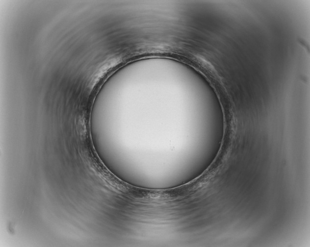 X0000099551218200805301514