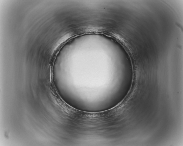 X0000099551219200805301514