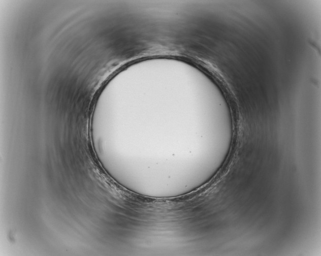 X0000099551220200805301514