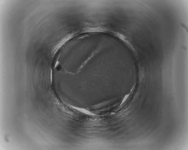 X0000099551221200805301514