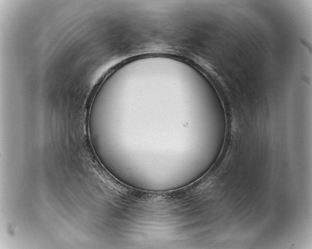 X0000099551222200805301514