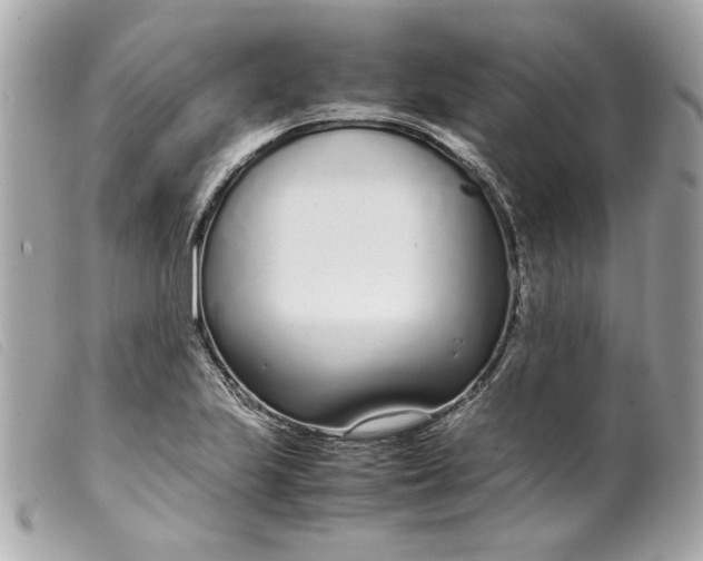 X0000099551223200805301514