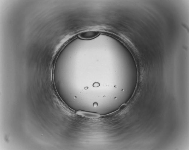 X0000099551224200805301514