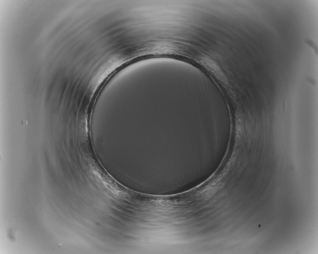 X0000099551226200805301514