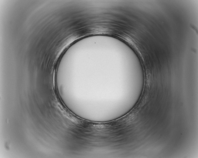 X0000099551227200805301514