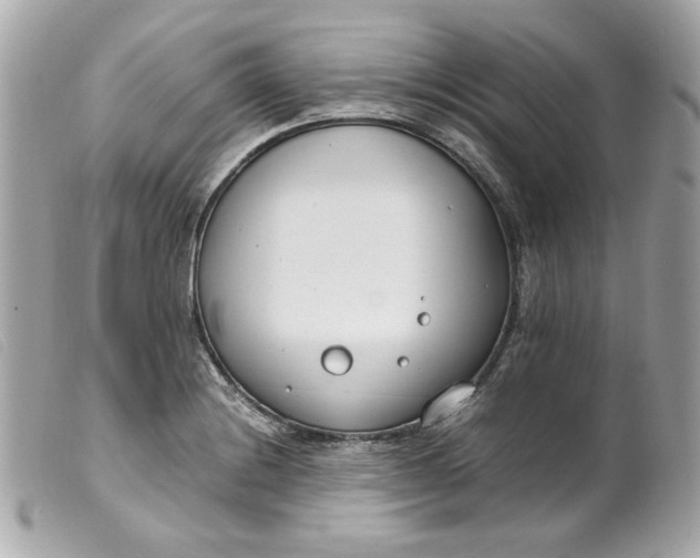 X0000099551228200805301514