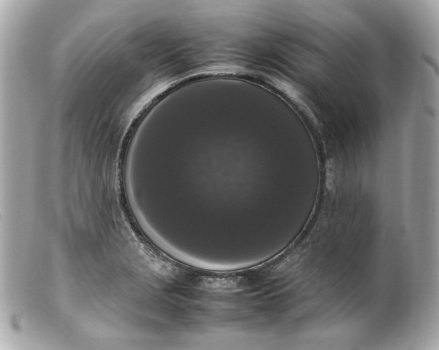 X0000099551229200805301514