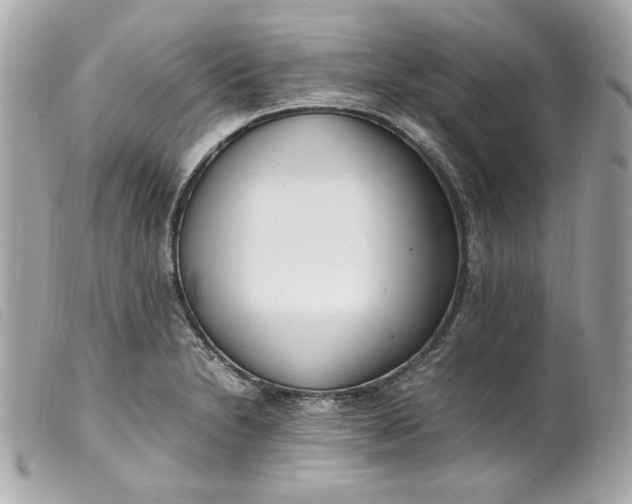 X0000099551230200805301514