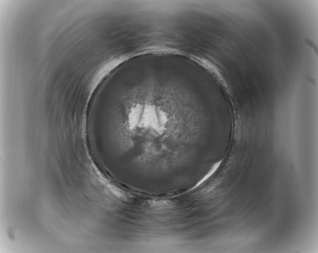 X0000099551231200805301514