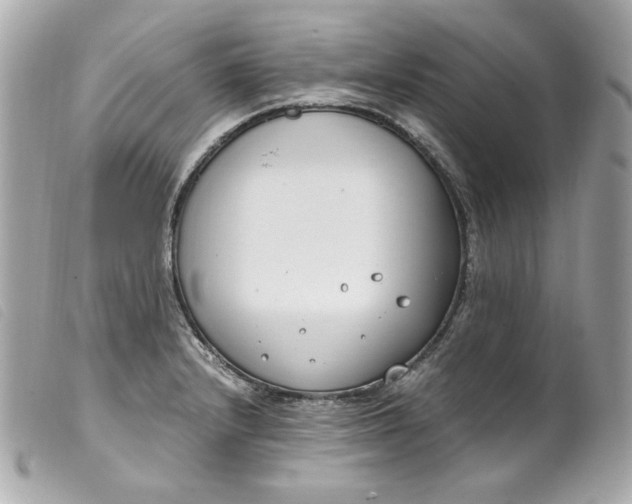 X0000099551232200805301514