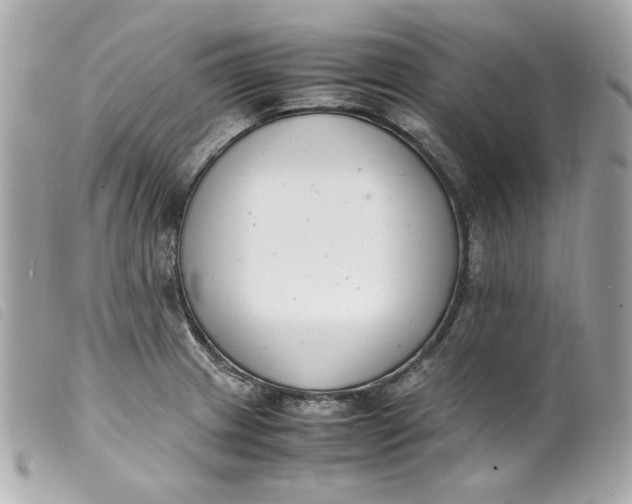 X0000099551233200805301514