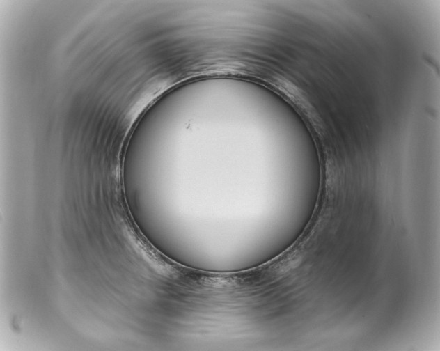 X0000099551234200805301514