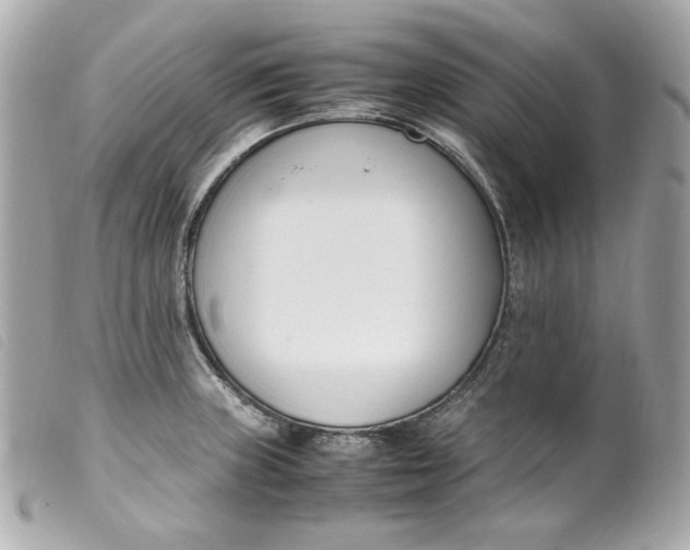 X0000099551235200805301514