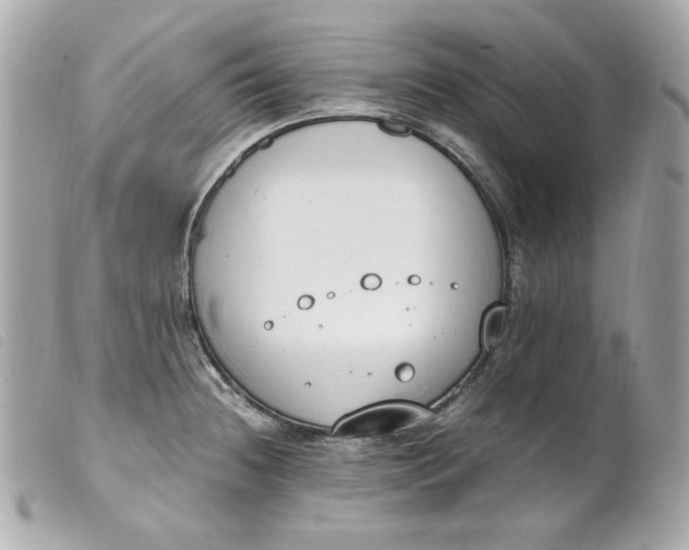 X0000099551236200805301514