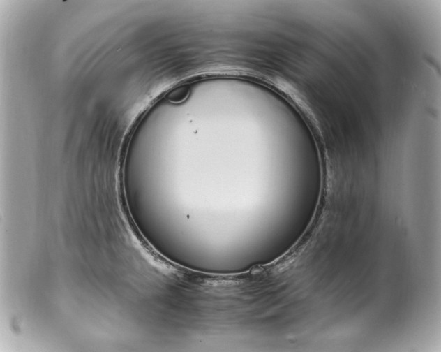 X0000099551237200805301514